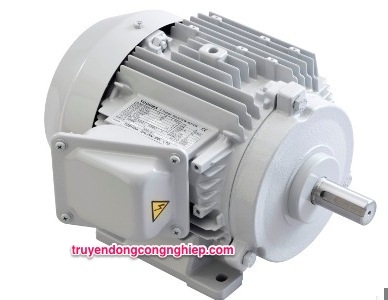 MOTOR TOSHIBA - Công Ty TNHH Xuất Nhập Khẩu C K M